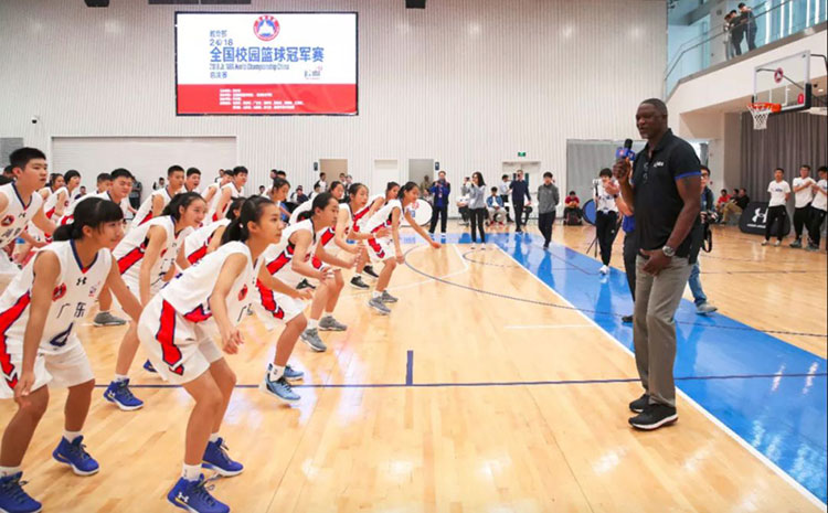 上海體育場木地板為什么要選擇硬木樹種  專業體育木地板價格