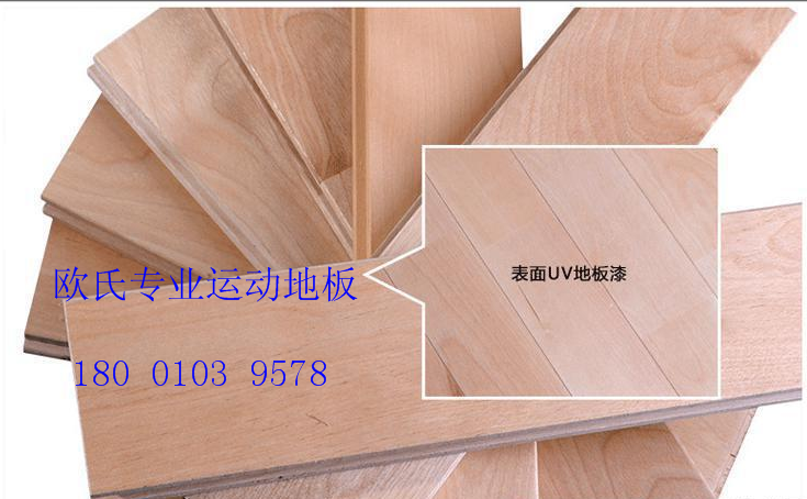 歐氏地板--體育木地板場地驗收技術標準