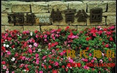 夏天炎熱雨季來臨，專業(yè)運(yùn)動(dòng)木地板該怎樣維護(hù)